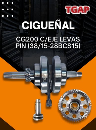 CIGUEÑAL TGAP CG200.jpg